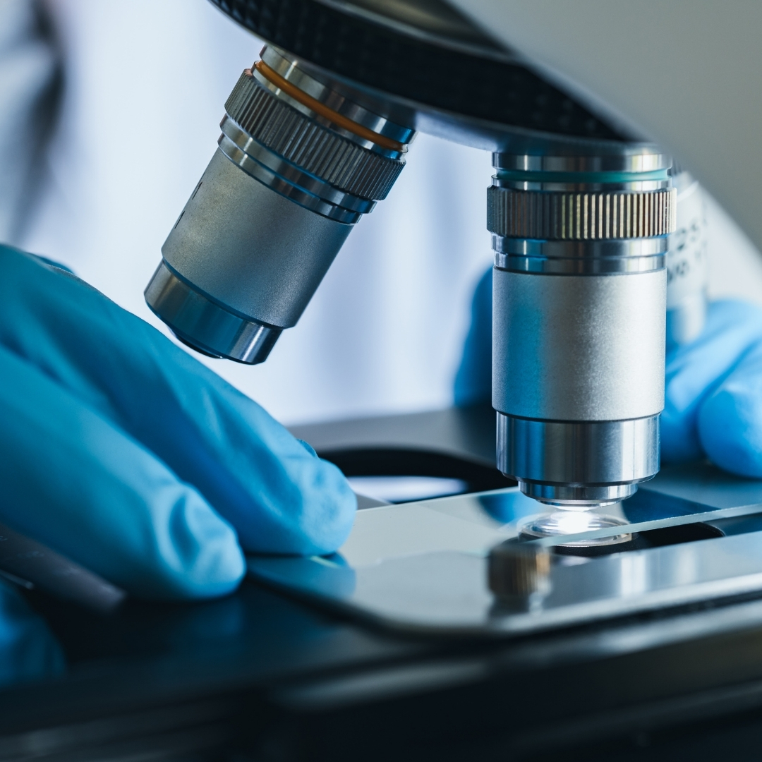 Advanced Morphology Course September 2022
