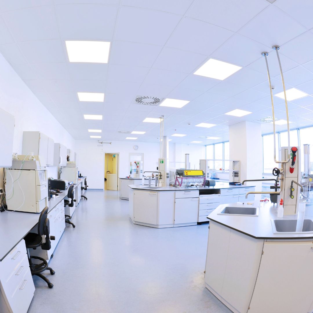 The IBMS Registration Portfolio From A Placement Student s Perspective 