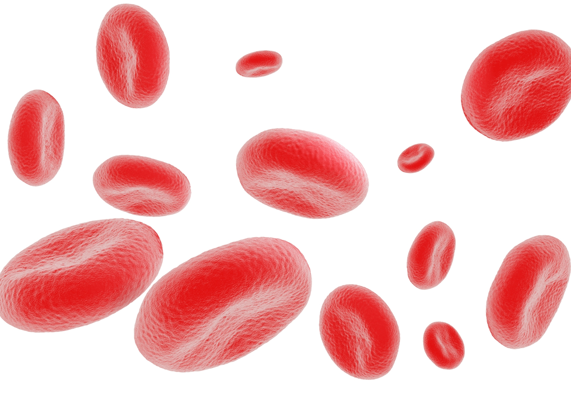 CPD: Iron Essentials: Homeostasis, Diagnostics & Real-World Cases
